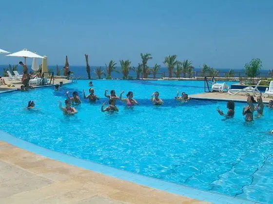 Continental Plaza Beach - Havuz