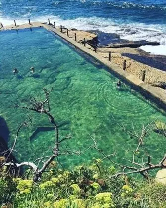 Coogee Beach House - Hostel - Havuz
