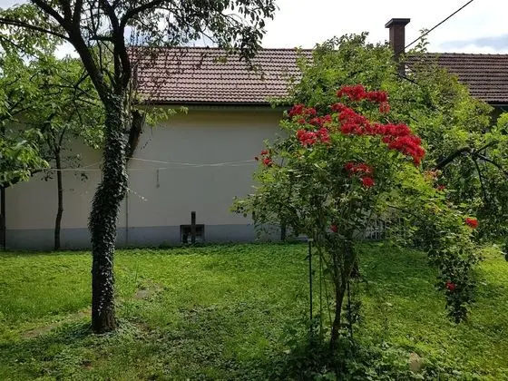 Villa Coola - Dış Mekan