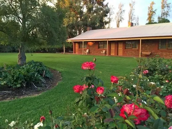 Coonawarra Units - Dış Mekan