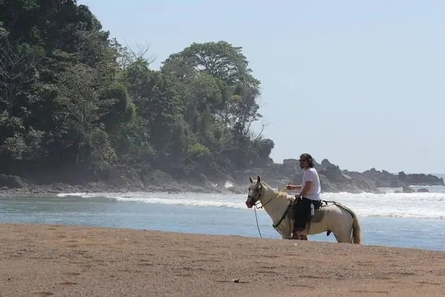 Copa De Arbol Beach & Rainforest Resort - Plaj