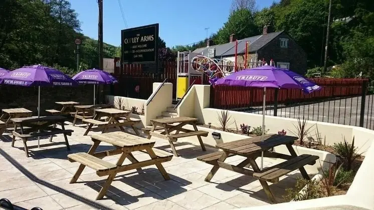 The Copley Arms - Havuz