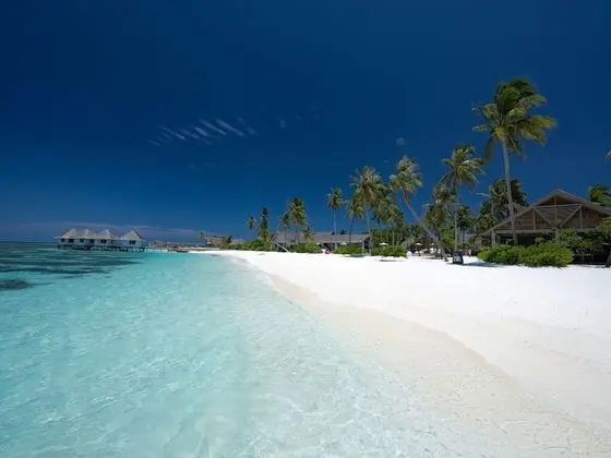 Cora Cora Maldives-Premium All-Inclusive - Plaj