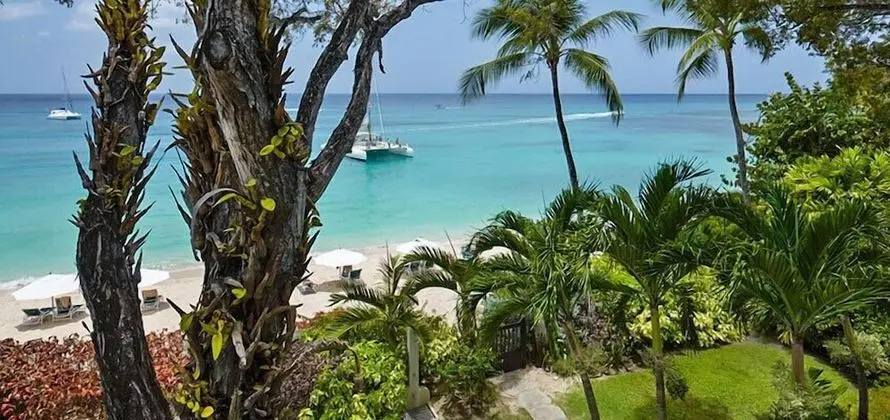 Coral Cove 8 - Condo Life's A Beach - Plaj