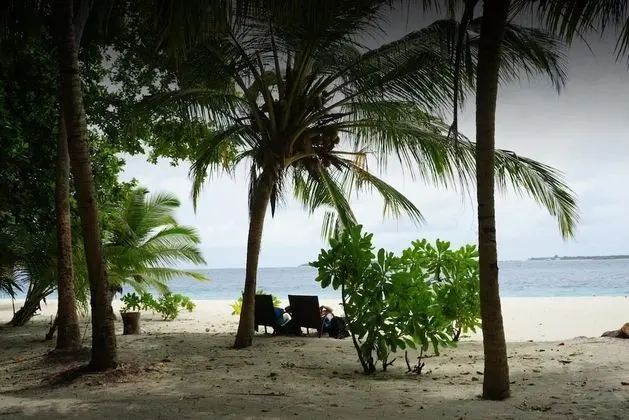 Coral Cove Maldives - Dış Mekan