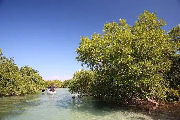 Coral Lodge