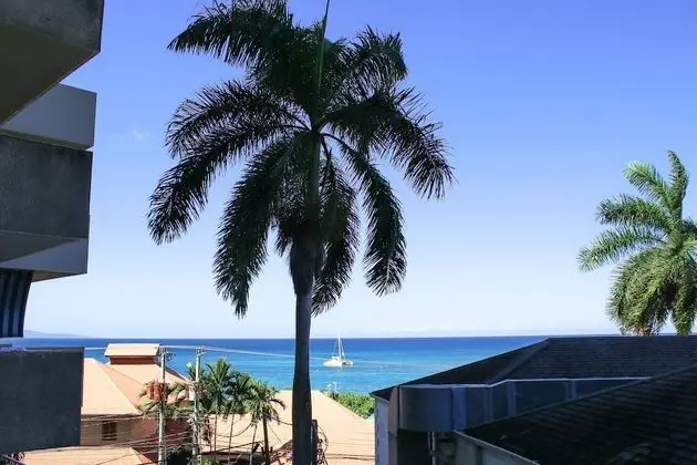 Coral Reef Beach Suite At Montego Bay Club Resort