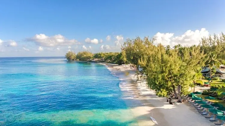 Coral Reef Club