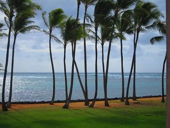Hotel Coral Reef