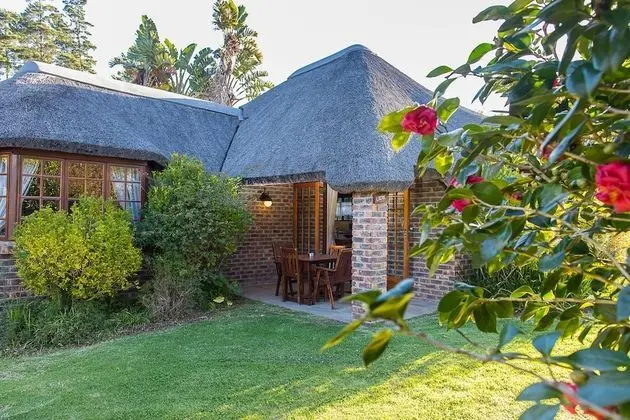 Coral Tree Cottages - 1