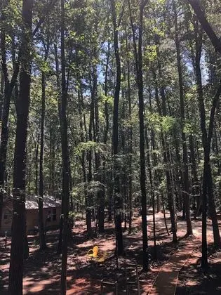 Cora's Cabins - İç Mekan