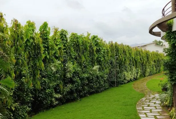 Corbett Panorama Resort - Dış Mekan