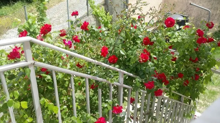 Corfu Villa Rainbow - Genel