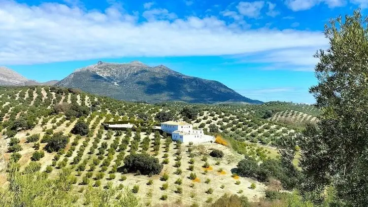 Cortijo La Presa