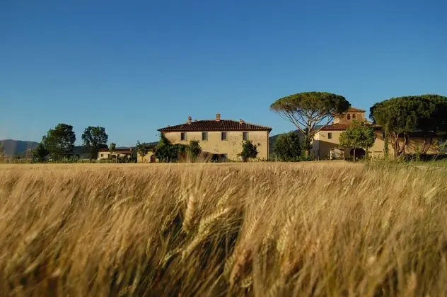 Cortona Resort - Le Terre Dei Cavalieri - Dış Mekan