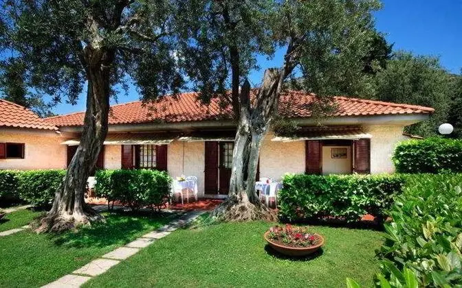 Costa Alta - Lobi
