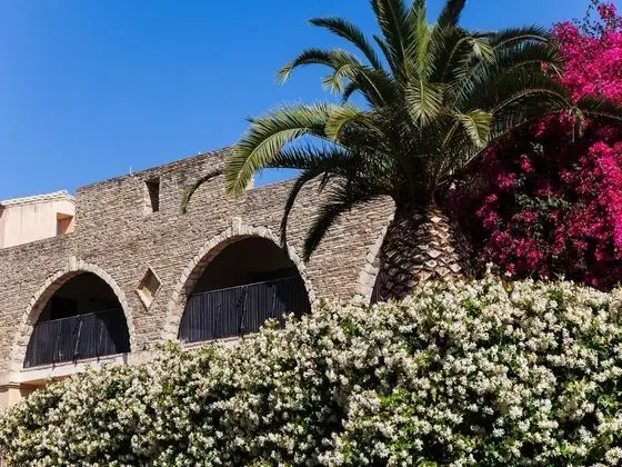 Costa Dei Fiori - Genel