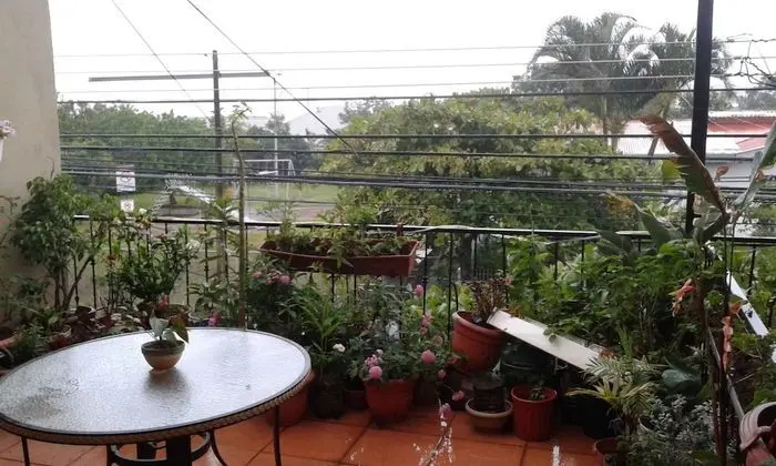 Costa Rica Love Apartments & Rooms