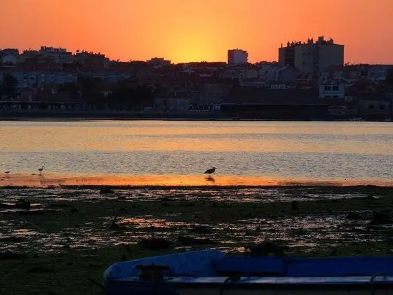Cosy 1-bed Apartment in Seixal Good Amenities - Plaj