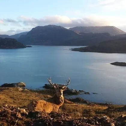 Cosy 2-bed House in Kinlochbervie - Genel