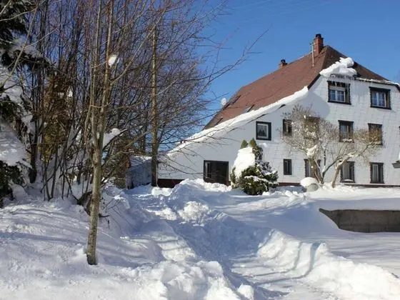 Cosy Apartment With a Great Panoramic View in Lauterbach in the Black Forest - Dış Mekan