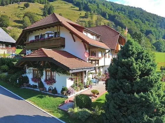 Cosy Apartment in the Black Forest, Just Outside Todtnau - Öne Çıkan Resim