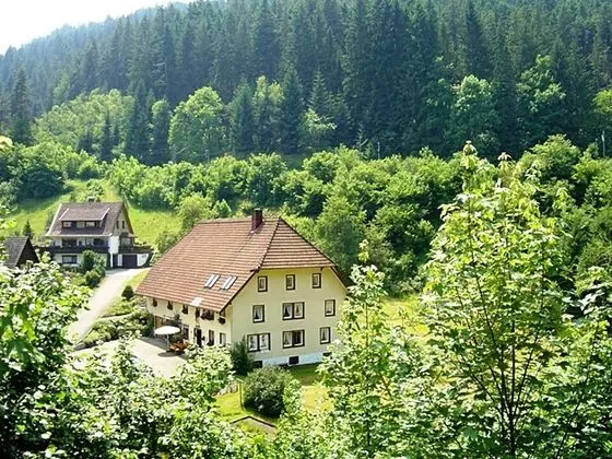 Cosy Apartment in Country Home Style With use of Garden - Dış Mekan
