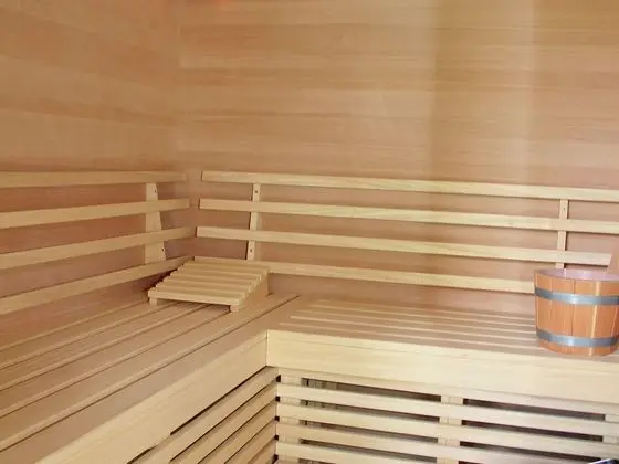 Cosy Apartment in Kirchberg With Private Sauna - Spa