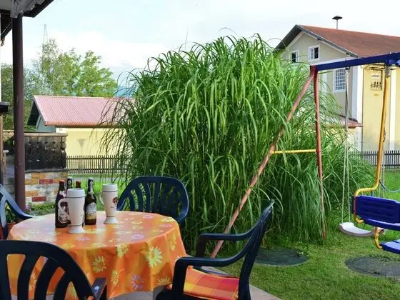 Cosy Apartment in Lechbruck Bavaria With Garden - Yerinde Yemek