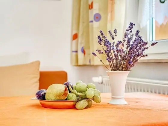 Cosy Apartment in the Middle of the Thuringian Forest With Separate Entrance and Balcony - İç Mekan