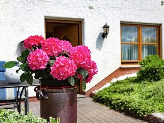 Cosy Apartment Near ski Area, Includes Sauerlandcard - Dış Mekan