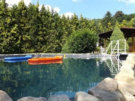 Cosy Apartment With Private Terrace in Pirna in Saxon Switzerland - Havuz