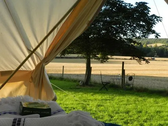 Cosy Bell Tent Glamping in Rural Herefordshire - Dış Mekan