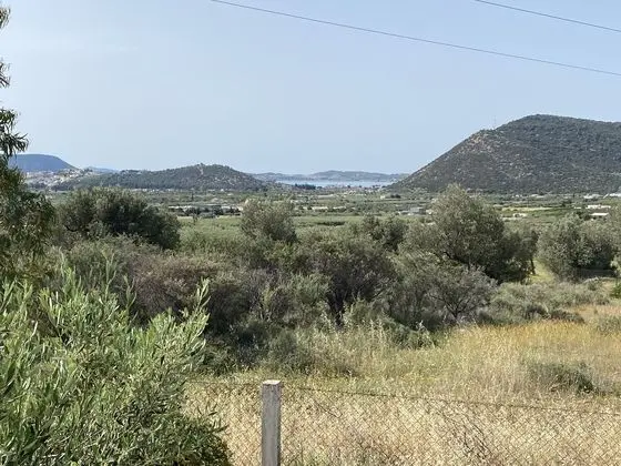 Cosy Calm Cottage in Olive Trees With sea View - Genel