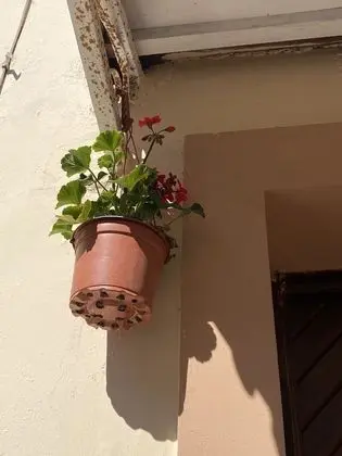 Cosy and Familiar Maisonette in Agio Deka, Corfu - Dış Mekan