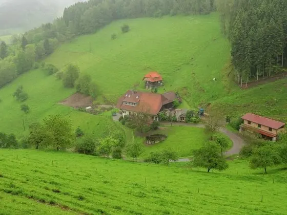 Cosy Farmhouse Apartment at the Edge of the Forest