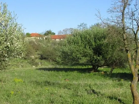 Cosy Holiday Home With Garden in Leonidio - Dış Mekan