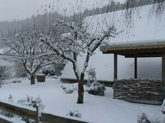 Cosy Holiday Home With Garden in the Sauerland