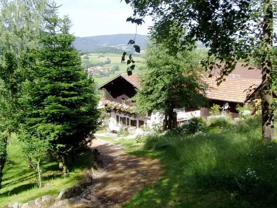 Cosy Holiday Home in Kollnburg With Garden - Dış Mekan