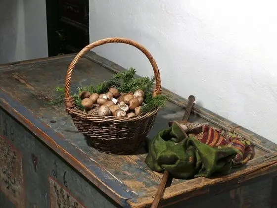 Cosy Holiday Home in Kollnburg With Garden - Genel