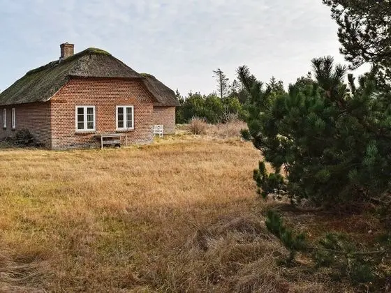 Cosy Holiday Home in Ulfborg With Sauna