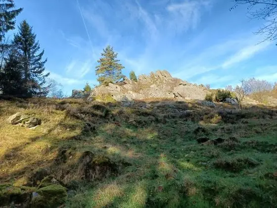 Cosy Holiday Home in the Upper Palatinate Forest With a Fenced Garden and Seating Corner - Genel