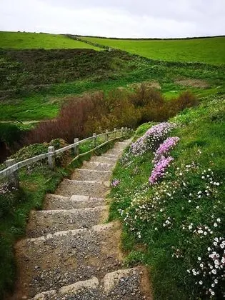 Cosy & Quirky Cottage nr Kynance Cove - Dış Mekan