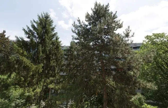 Cosy Studio Central Geneva with Parking - Dış Mekan