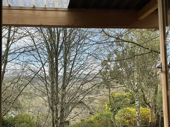 Cosy Warm 1 Bed Lodge in Bovey Tracey Nr Dartmoor - Dış Mekan