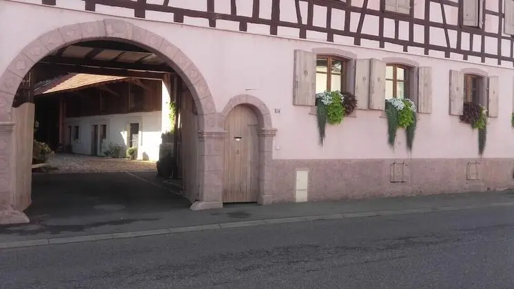 Côté Cour Bischwihr Colmar - Dış Mekan