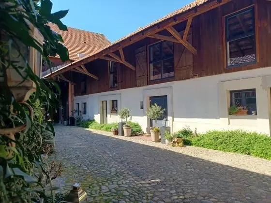 Côté Cour Bischwihr Colmar - Dış Mekan