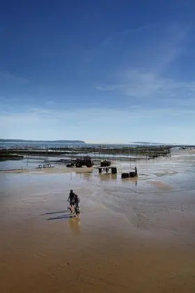 Côté Sable - Plaj