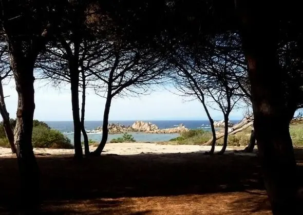 Cottage-apartment In Rural Sardinia With Sun, Sea And Sand