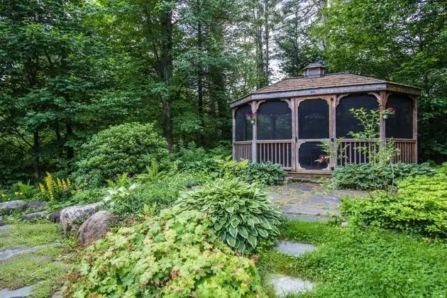 Cottage in the Woods - Dış Mekan